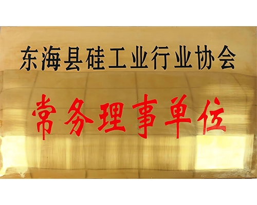 東?？h硅工業(yè)行業(yè)協(xié)會(huì)常務(wù)理事單位